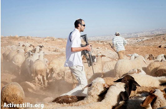 An armed settler accosts a Palestinian shepherd and Ta'ayush activists near the village of Sussiya