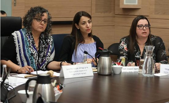 MK Touma-Sliman (left) during a meeting of the Knesset Committee for the Advancement of the Status of Women