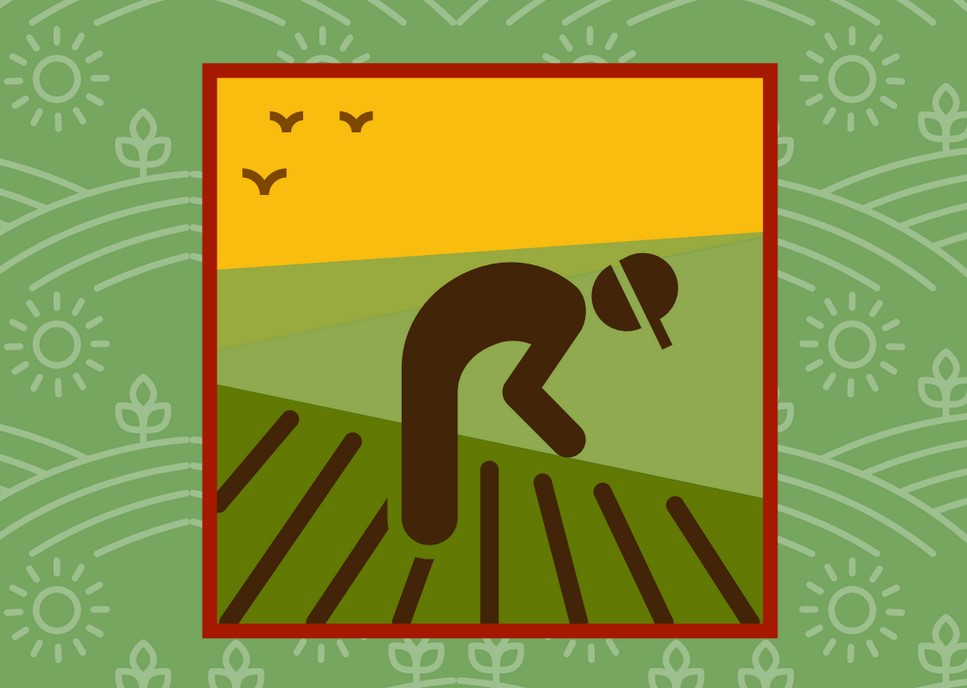 From the cover of the booklet prepared by the Worker's Hotline, Working Safely in Agriculture
