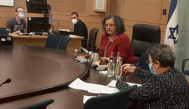 MK Aida Touma-Sliman (Hadash - Joint List) chairing the session of the Knesset's Special Committee for Welfare and Labor Chair on Sunday, May 3