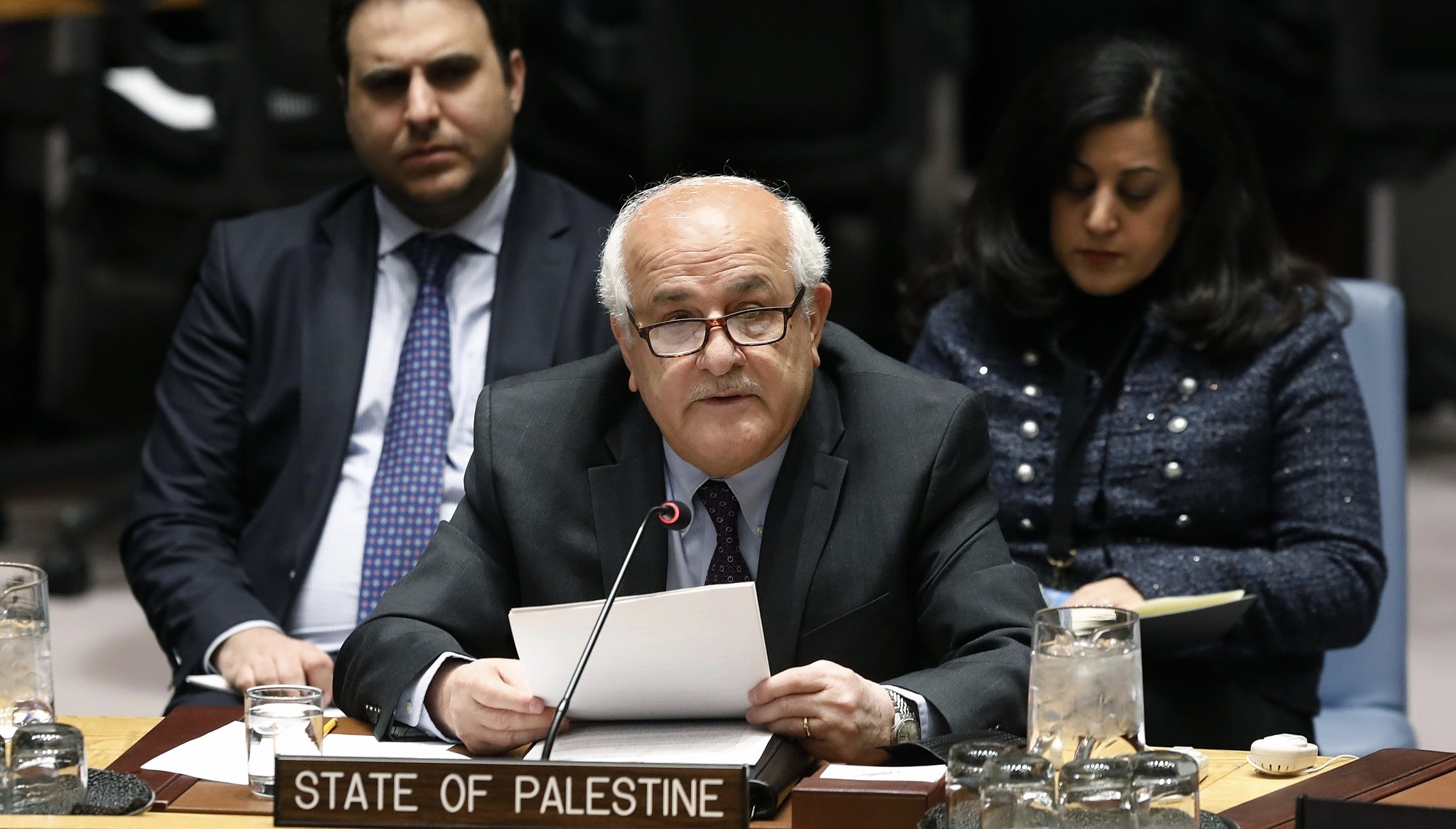 Palestine's Permanent Observer to the United Nations, Riyad Mansour