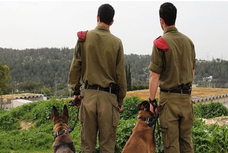 Soldiers and dogs of Oketz Canine Unit (Photo: IDF)