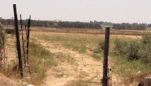 Uncultivated fields near the Gaza perimeter fence (Photo: B'Tselem)