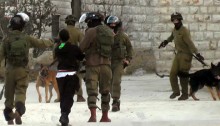 The soldiers, the teen who was attacked, and the attack dogs at Beit Umar.
