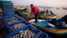 Fishermen in the port of Gaza