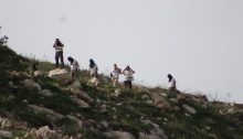 Armed and masked settlers descend from a northern West Bank hilltop where the dismantled settlement of Homesh had been located until 2005. The hooligans hurled stones at Palestinian residents of the nearby village of Burqa. A police report was filed, but a law enforcement spokeswoman said she "was unaware of the incident."