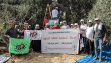 Union of Agricultural Work Committees activists during the olive harvest in the occupied Palestinian West Bank, Tuesday, October 19, 2021. The white banner reads: "The volunteer campaign for harvesting olives – We will defend our land… We will support our farmers."